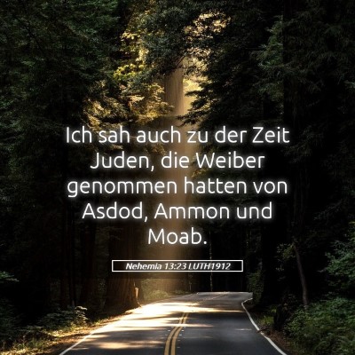Picture 05 - Nehemia 13:23 LUTH1912 - Ich sah auch zu der Zeit Juden, die Weiber - Bible Verse Picture