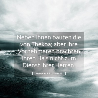 Picture 05 - Nehemia 3:5 LUTH1912 - Neben ihnen bauten die von Thekoa; aber ihre - Bible Verse Picture