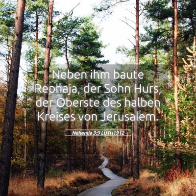 Picture 05 - Nehemia 3:9 LUTH1912 - Neben ihm baute Rephaja, der Sohn Hurs, der - Bible Verse Picture