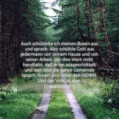 Picture 05 - Nehemia 5:13 LUTH1912 - Auch schüttelte ich meinen Busen aus und sprach: - Bible Verse Picture