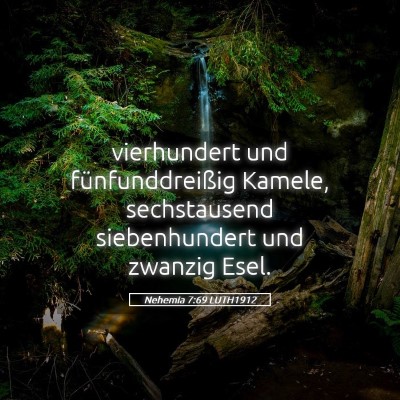 Picture 05 - Nehemia 7:69 LUTH1912 - vierhundert und fünfunddreißig Kamele, - Bible Verse Picture