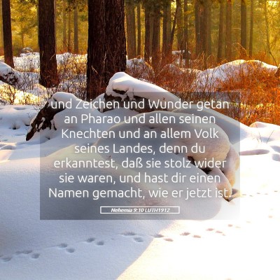 Picture 05 - Nehemia 9:10 LUTH1912 - und Zeichen und Wunder getan an Pharao und allen - Bible Verse Picture