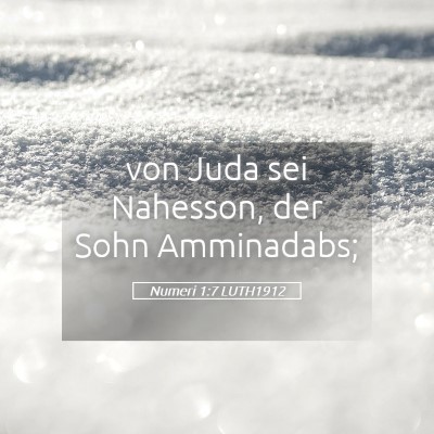 Picture 05 - Numeri 1:7 LUTH1912 - von Juda sei Nahesson, der Sohn - Bible Verse Picture
