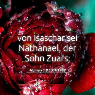 Picture 05 - Numeri 1:8 LUTH1912 - von Isaschar sei Nathanael, der Sohn - Bible Verse Picture
