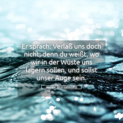 Picture 05 - Numeri 10:31 LUTH1912 - Er sprach: Verlaß uns doch nicht; denn du - Bible Verse Picture