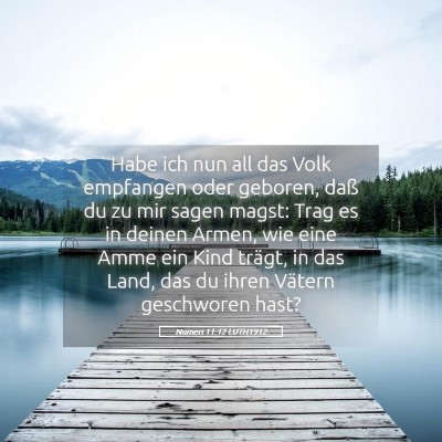 Picture 05 - Numeri 11:12 LUTH1912 - Habe ich nun all das Volk empfangen oder geboren, - Bible Verse Picture