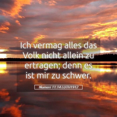 Picture 05 - Numeri 11:14 LUTH1912 - Ich vermag alles das Volk nicht allein zu - Bible Verse Picture