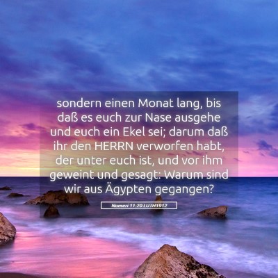 Picture 05 - Numeri 11:20 LUTH1912 - sondern einen Monat lang, bis daß es euch zur - Bible Verse Picture