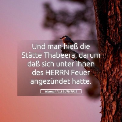 Picture 05 - Numeri 11:3 LUTH1912 - Und man hieß die Stätte Thabeera, darum daß - Bible Verse Picture