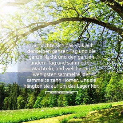 Picture 05 - Numeri 11:32 LUTH1912 - Da machte sich das Volk auf denselben ganzen Tag - Bible Verse Picture