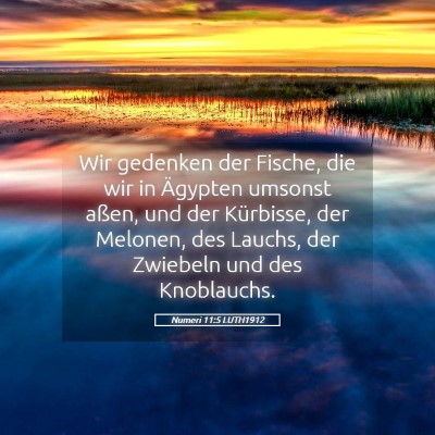 Picture 05 - Numeri 11:5 LUTH1912 - Wir gedenken der Fische, die wir in Ägypten - Bible Verse Picture