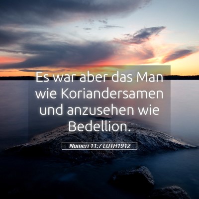 Picture 05 - Numeri 11:7 LUTH1912 - Es war aber das Man wie Koriandersamen und - Bible Verse Picture