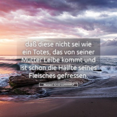 Picture 05 - Numeri 12:12 LUTH1912 - daß diese nicht sei wie ein Totes, das von - Bible Verse Picture