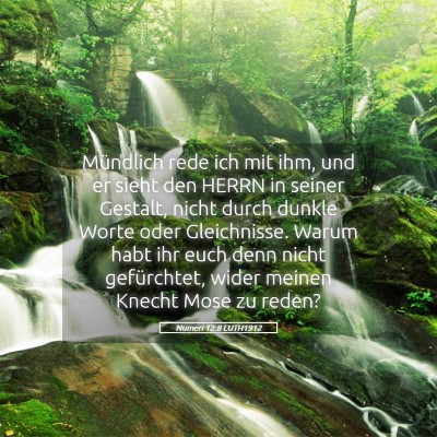 Picture 05 - Numeri 12:8 LUTH1912 - Mündlich rede ich mit ihm, und er sieht den - Bible Verse Picture