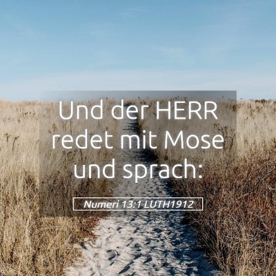Picture 05 - Numeri 13:1 LUTH1912 - Und der HERR redet mit Mose und - Bible Verse Picture