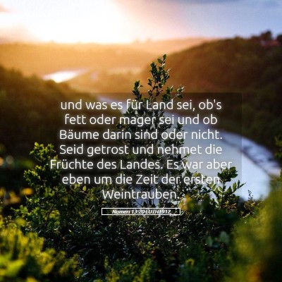 Picture 05 - Numeri 13:20 LUTH1912 - und was es für Land sei, ob's fett oder mager - Bible Verse Picture