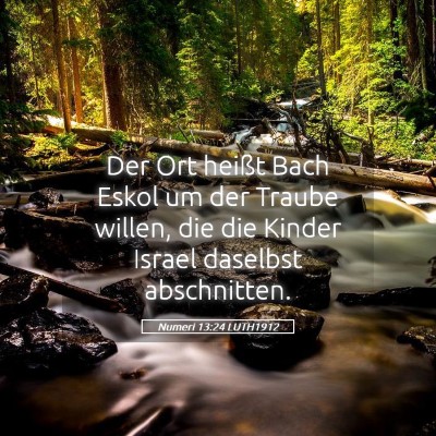 Picture 05 - Numeri 13:24 LUTH1912 - Der Ort heißt Bach Eskol um der Traube willen, - Bible Verse Picture