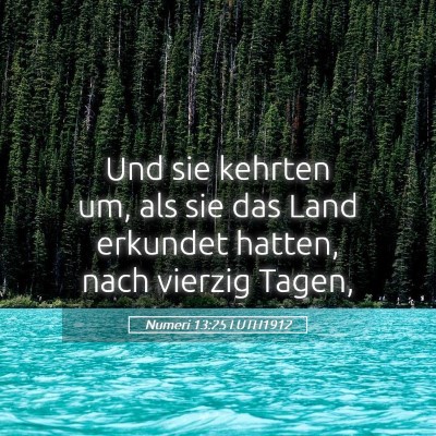 Picture 05 - Numeri 13:25 LUTH1912 - Und sie kehrten um, als sie das Land erkundet - Bible Verse Picture