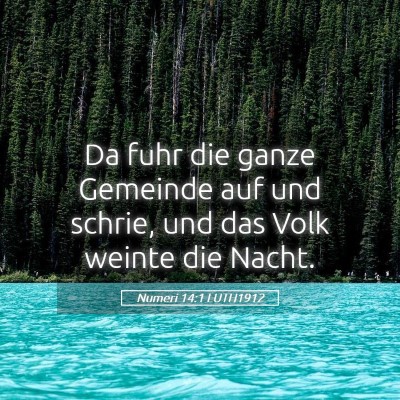 Picture 05 - Numeri 14:1 LUTH1912 - Da fuhr die ganze Gemeinde auf und schrie, und - Bible Verse Picture