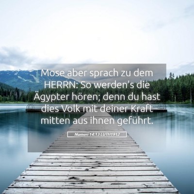 Picture 05 - Numeri 14:13 LUTH1912 - Mose aber sprach zu dem HERRN: So werden's die - Bible Verse Picture