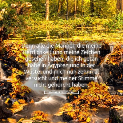 Picture 05 - Numeri 14:22 LUTH1912 - Denn alle die Männer, die meine Herrlichkeit und - Bible Verse Picture