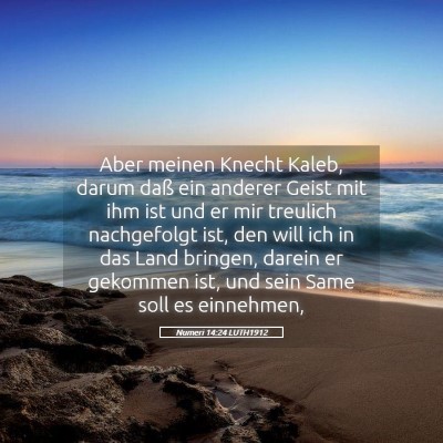 Picture 05 - Numeri 14:24 LUTH1912 - Aber meinen Knecht Kaleb, darum daß ein anderer - Bible Verse Picture