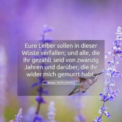 Picture 05 - Numeri 14:29 LUTH1912 - Eure Leiber sollen in dieser Wüste verfallen; - Bible Verse Picture