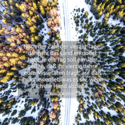Picture 05 - Numeri 14:34 LUTH1912 - Nach der Zahl der vierzig Tage, darin ihr das - Bible Verse Picture
