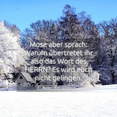 Picture 05 - Numeri 14:41 LUTH1912 - Mose aber sprach: Warum übertretet ihr also das - Bible Verse Picture