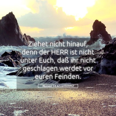 Picture 05 - Numeri 14:42 LUTH1912 - Ziehet nicht hinauf, denn der HERR ist nicht - Bible Verse Picture