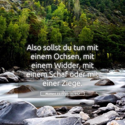 Picture 05 - Numeri 15:11 LUTH1912 - Also sollst du tun mit einem Ochsen, mit einem - Bible Verse Picture