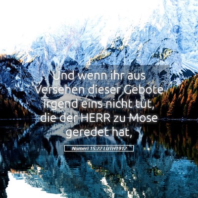 Picture 05 - Numeri 15:22 LUTH1912 - Und wenn ihr aus Versehen dieser Gebote irgend - Bible Verse Picture