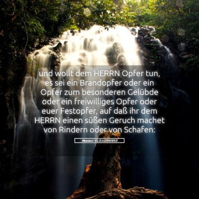 Picture 05 - Numeri 15:3 LUTH1912 - und wollt dem HERRN Opfer tun, es sei ein - Bible Verse Picture