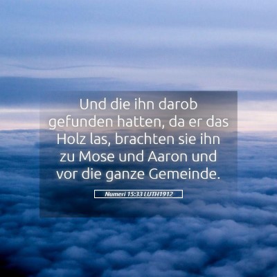 Picture 05 - Numeri 15:33 LUTH1912 - Und die ihn darob gefunden hatten, da er das Holz - Bible Verse Picture