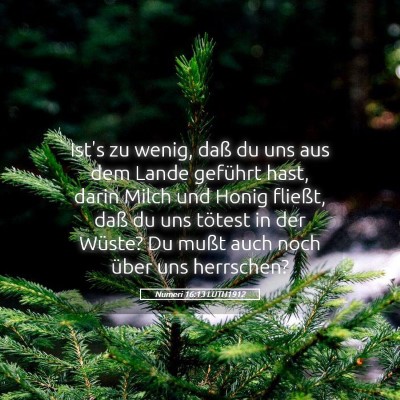 Picture 05 - Numeri 16:13 LUTH1912 - Ist's zu wenig, daß du uns aus dem Lande - Bible Verse Picture