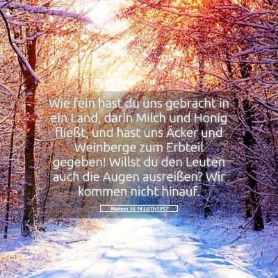 Picture 05 - Numeri 16:14 LUTH1912 - Wie fein hast du uns gebracht in ein Land, darin - Bible Verse Picture