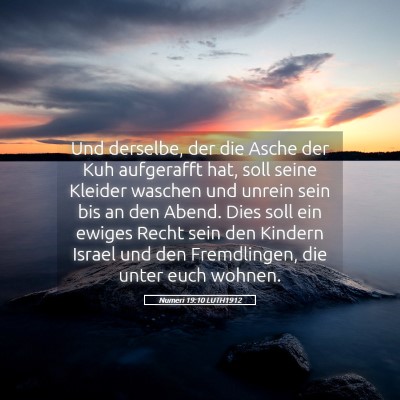 Picture 05 - Numeri 19:10 LUTH1912 - Und derselbe, der die Asche der Kuh aufgerafft - Bible Verse Picture