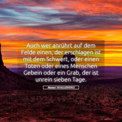 Picture 05 - Numeri 19:16 LUTH1912 - Auch wer anrührt auf dem Felde einen, der - Bible Verse Picture