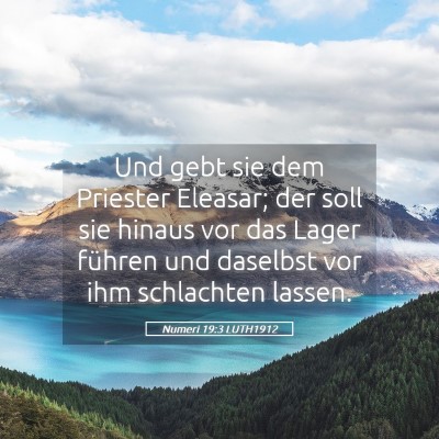 Picture 05 - Numeri 19:3 LUTH1912 - Und gebt sie dem Priester Eleasar; der soll sie - Bible Verse Picture