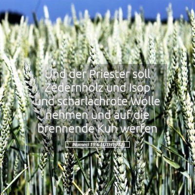 Picture 05 - Numeri 19:6 LUTH1912 - Und der Priester soll Zedernholz und Isop und - Bible Verse Picture