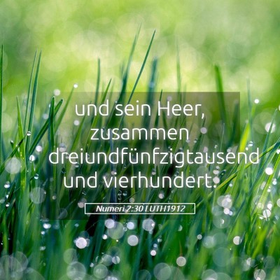 Picture 05 - Numeri 2:30 LUTH1912 - und sein Heer, zusammen dreiundfünfzigtausend - Bible Verse Picture