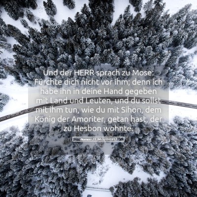 Picture 05 - Numeri 21:34 LUTH1912 - Und der HERR sprach zu Mose: Fürchte dich nicht - Bible Verse Picture
