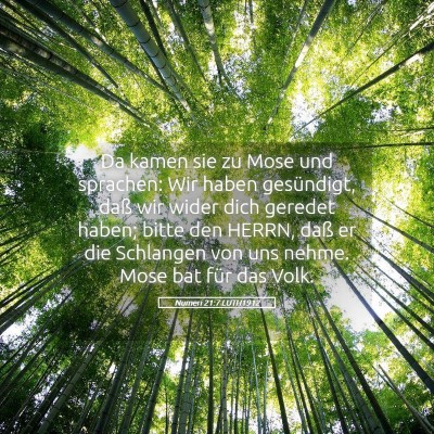 Picture 05 - Numeri 21:7 LUTH1912 - Da kamen sie zu Mose und sprachen: Wir haben - Bible Verse Picture