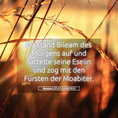 Picture 05 - Numeri 22:21 LUTH1912 - Da stand Bileam des Morgens auf und sattelte - Bible Verse Picture