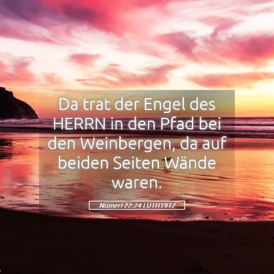 Picture 05 - Numeri 22:24 LUTH1912 - Da trat der Engel des HERRN in den Pfad bei den - Bible Verse Picture