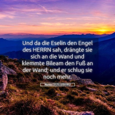 Picture 05 - Numeri 22:25 LUTH1912 - Und da die Eselin den Engel des HERRN sah, - Bible Verse Picture