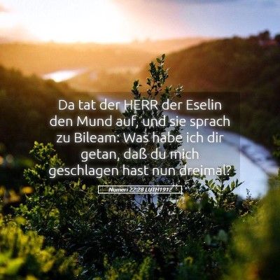 Picture 05 - Numeri 22:28 LUTH1912 - Da tat der HERR der Eselin den Mund auf, und sie - Bible Verse Picture