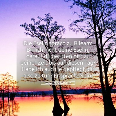 Picture 05 - Numeri 22:30 LUTH1912 - Die Eselin sprach zu Bileam: Bin ich nicht deine - Bible Verse Picture