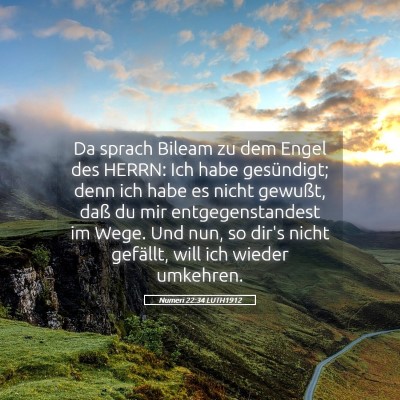 Picture 05 - Numeri 22:34 LUTH1912 - Da sprach Bileam zu dem Engel des HERRN: Ich habe - Bible Verse Picture