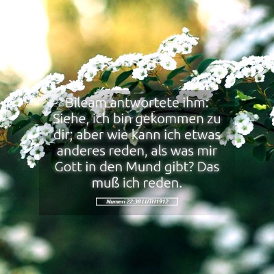 Picture 05 - Numeri 22:38 LUTH1912 - Bileam antwortete ihm: Siehe, ich bin gekommen zu - Bible Verse Picture